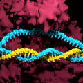 Is crispr synthetic?
