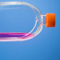 Why is biotechnology sometimes called an issue?