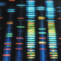 What are some of the controversial topics in biotechnology?