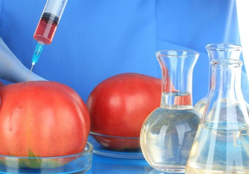 What are some of the reasons the use of biotechnology is controversial?