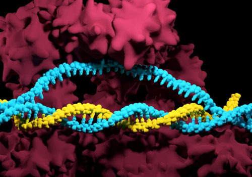 Is crispr synthetic?